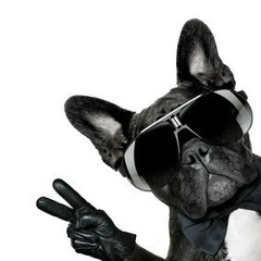 Эмиль , 06.05, Москва