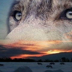 Ислам Алдамов, 13.03, Грозный