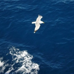 Анна Ершова, 18.05, Москва