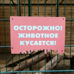 Александр Чернаков, 05.01, Санкт-Петербург