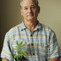 Сергей Солодовник, 24.07.1990, Huddersfield