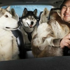 Рафаэль Хасанов, 01.01.1983, Казань