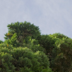 Евгений Гришин, 16.12, Санкт-Петербург