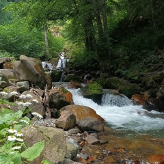 Виталий Новоселов, 20.01.1982