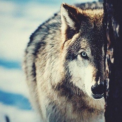 Арсен Кокаев, 26.11.2002, Владикавказ