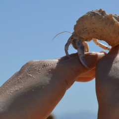 Ирина Науменко, 24.02, Запорожье