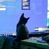 Beep Jeep, 09.05.1991, Тюмень