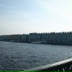 Алексей Гариджук, 10.10