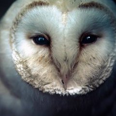 Наська Тарасова, 07.06, Москва