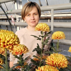 Лена Буренко, Волгоград