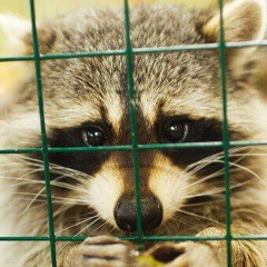 Дмитрий Гальский, 24.06, Москва