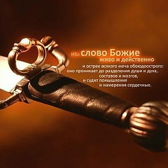 Дмитрий Таболин