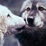 Мария Живова, Харьков