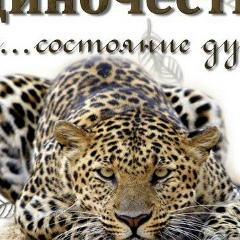 Екатерина Быкова, 27.07, Двинской