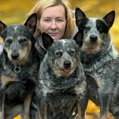 Виктория Горлова, Санкт-Петербург