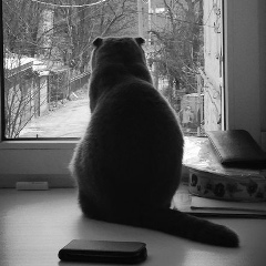 Александра Вишневская, 11.11.1987, Тырныауз