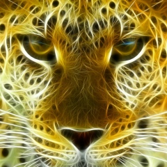 Арман Бектурганов, 13.11, Алматы