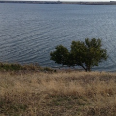 Александр Денисенко, 03.05, Горловка