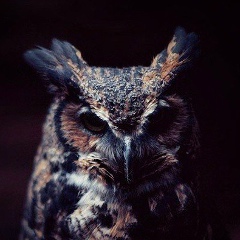 Sayan Shekenov, 13.07, Астана