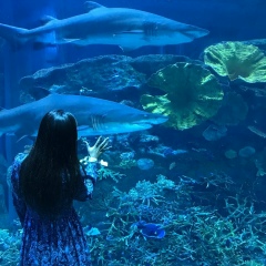 Луиза Эркенова, 08.10.1995, Шымкент