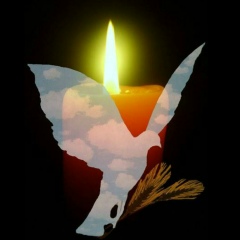 Андрей Мартынов, 16.06, Киев