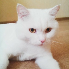 Олег Гордюков, 30.10, Екатеринбург