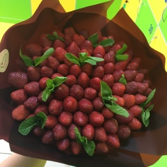 Виталия Ле, 09.03, Донецк
