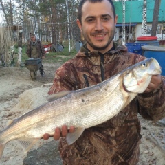 Шамиль Оздурмасов, 19.09.1984, Сургут