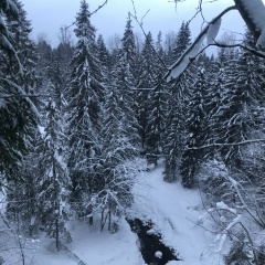 Иван Ларионов, 11.12, Санкт-Петербург