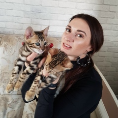 Анна Малышевская, 10.02, Хабаровск