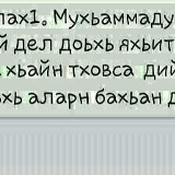 Зелимхан Далтагов, Москва