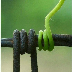 Ильяз Казыбаев, 02.11.1996, Xi'an