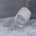 Владислав Ли, 25.10.1987, Санкт-Петербург