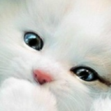 Лариса Гусева, 27.11, Санкт-Петербург