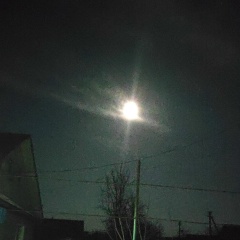 Александр Татарчук, 17.03, Киев