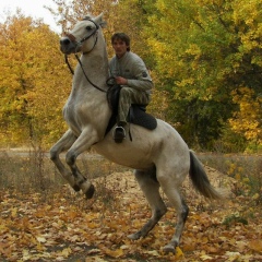Виталий Шаронов, 16.01, Воронеж