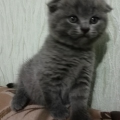 Сергей М, 30.01.1980, Братск