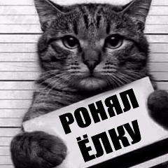 Дмитрий Пантюшев, 04.03.1988, Нижний Тагил