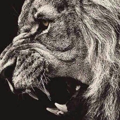 Rustam Kurabaev, 29.09.1994, Алматы