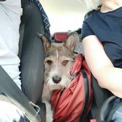 Алёна Гайдук, 19.12, Москва