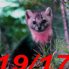 Максим Соболевский, 07.05.1989, Минск