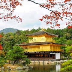 Асель Жайсенбаева, 10.09, Алматы