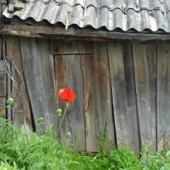 Мария Берлова, 29.05, Санкт-Петербург