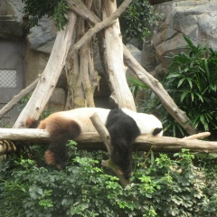 Роман Белоногов, 22.04.1984, Москва