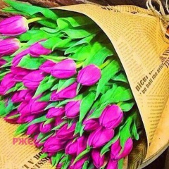 Молдир Оразбаева, 14.12, Алматы