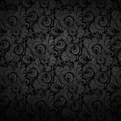 Blooding Kouyou, 09.06.1981