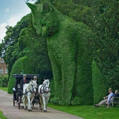 Алишер Омаров, 28.02, Туркестан