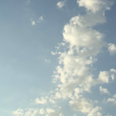 Талгат Султанов, 29.06, Lokeren