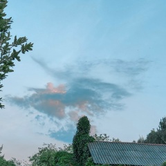 Лола Лолина, 01.01.1905, Москва