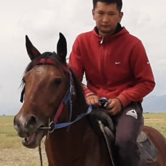 Nursultan Abaidoldaev, 04.12